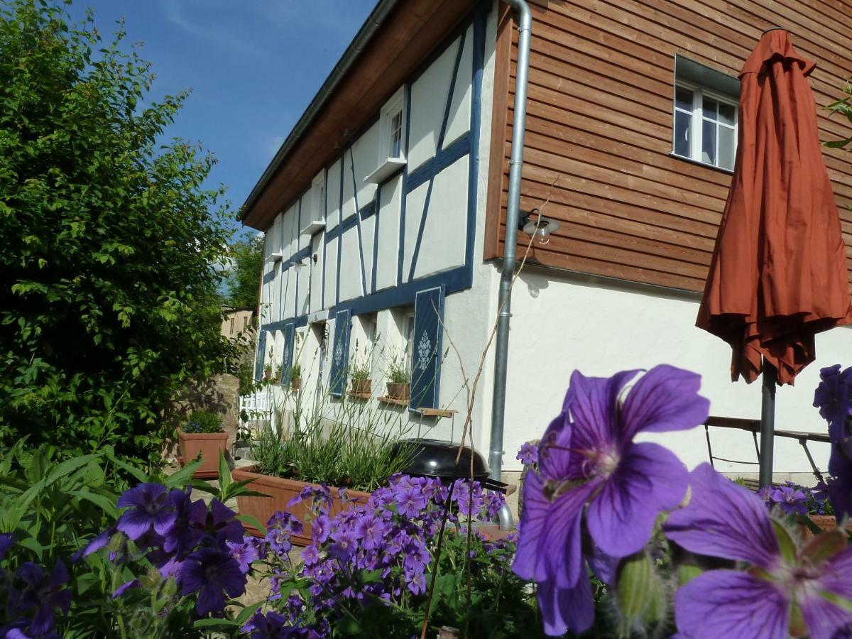 Goldbachhaeuschen Villa Olbersdorf Exterior photo